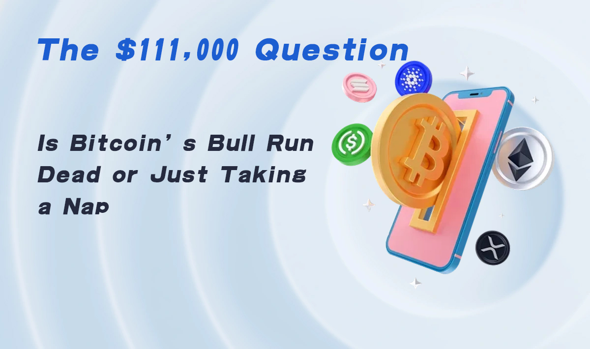 The $111,000 Question: Is Bitcoin’s Bull Run Dead or Just Taking a Nap?